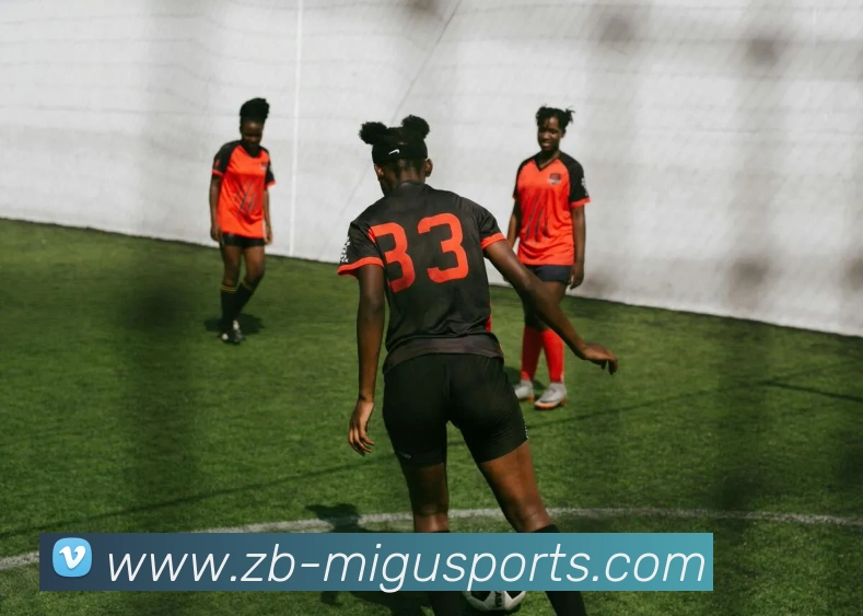 多媒体互动体验